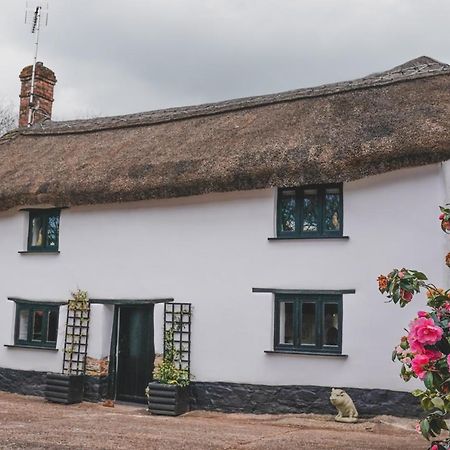 'The Cottage' Okehampton Exterior foto